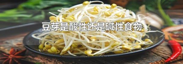 豆芽是酸性还是碱性食物