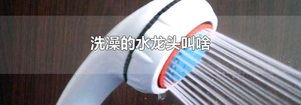 洗澡的水龙头叫啥