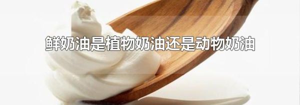 鲜奶油是植物奶油还是动物奶油