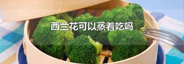 西兰花可以蒸着吃吗