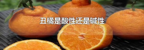 丑橘是酸性还是碱性