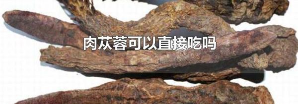 肉苁蓉可以直接吃吗