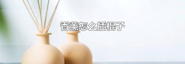 香薰怎么插棍子