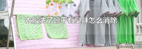 衣服洗了晾干有臭味怎么消除