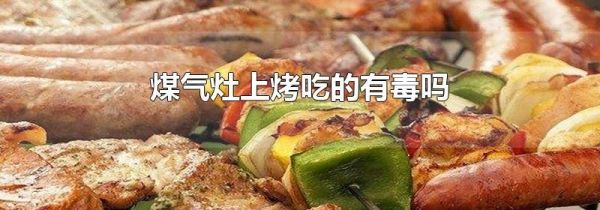煤气灶上烤吃的有毒吗