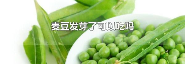 麦豆发芽了可以吃吗