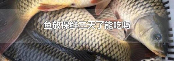 鱼放保鲜三天了能吃吗