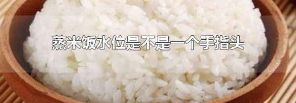 蒸米饭水位是不是一个手指头
