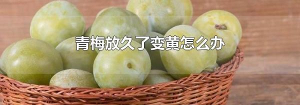 青梅放久了变黄怎么办