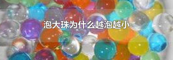 泡大珠为什么越泡越小