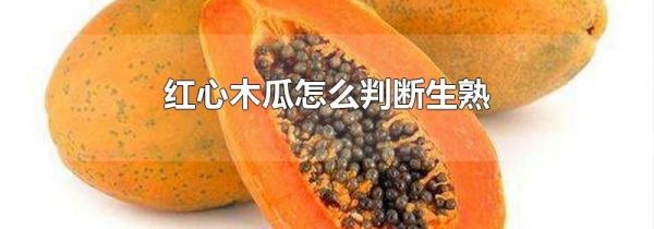 红心木瓜怎么判断生熟