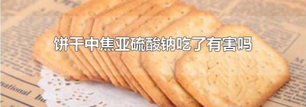 饼干中焦亚硫酸钠吃了有害吗