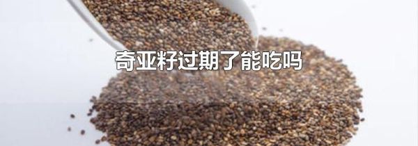 奇亚籽过期了能吃吗