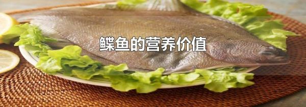 鲽鱼的营养价值