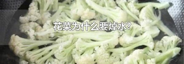 花菜为什么要焯水?