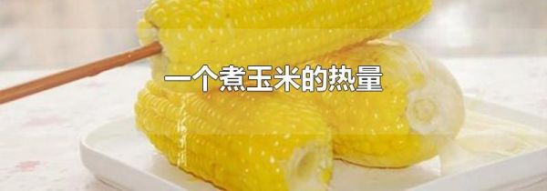 一个煮玉米的热量