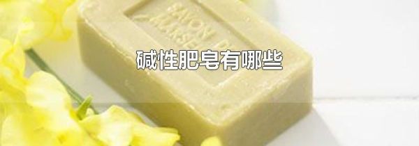 碱性肥皂有哪些