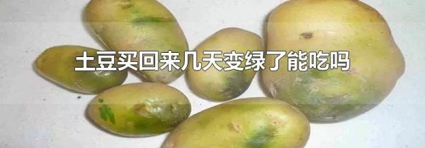 土豆买回来几天变绿了能吃吗