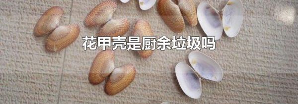 花甲壳是厨余垃圾吗