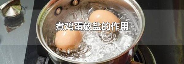 煮鸡蛋放盐的作用
