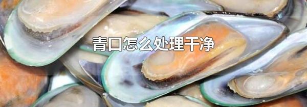 青口怎么处理干净