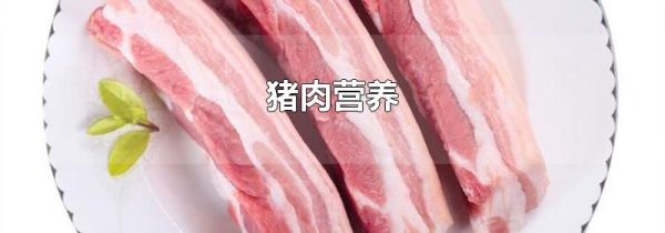 猪肉营养
