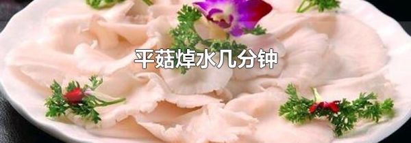 平菇焯水几分钟