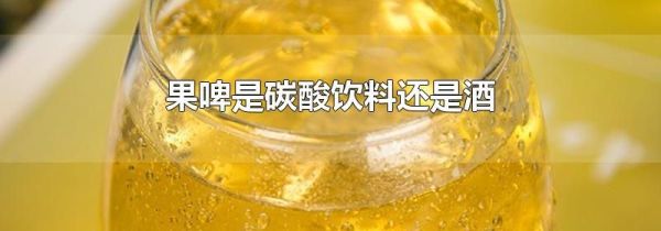 果啤是碳酸饮料还是酒
