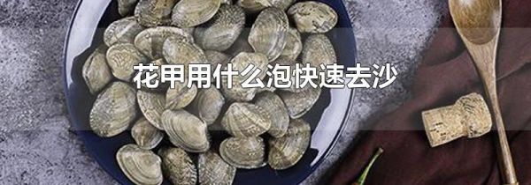花甲用什么泡快速去沙
