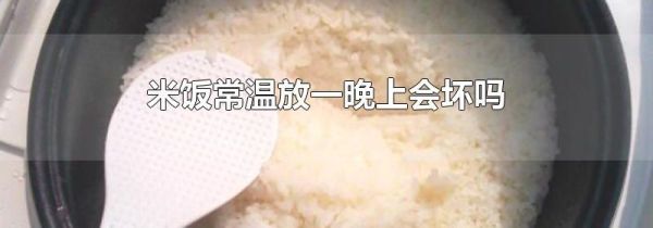米饭常温放一晚上会坏吗