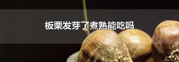 板栗发芽了煮熟能吃吗