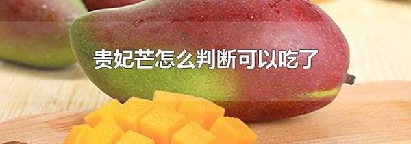贵妃芒怎么判断可以吃了