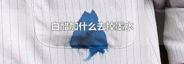 白醋加什么去掉墨水