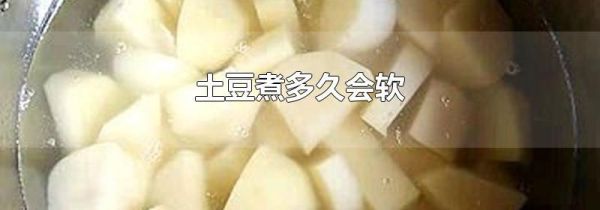 土豆煮多久会软