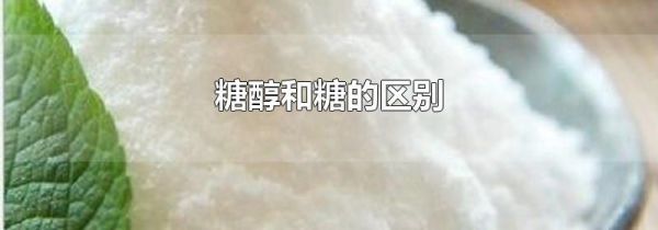 糖醇和糖的区别