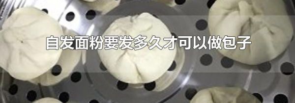 自发面粉要发多久才可以做包子