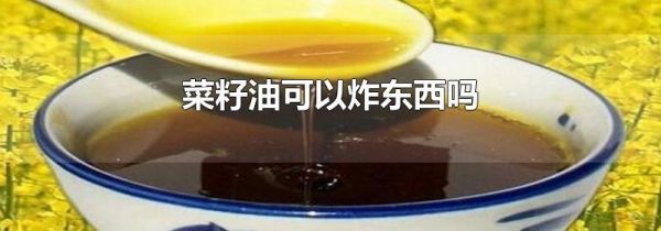 菜籽油可以炸东西吗