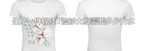 生产一件棉质T恤衫大概需要多少升水