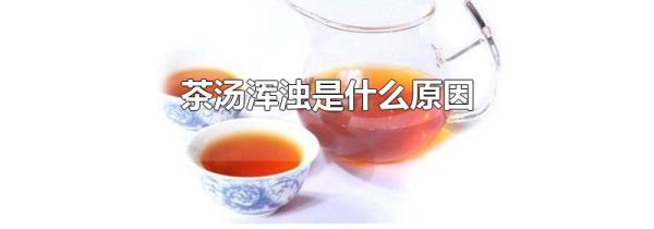 茶汤浑浊是什么原因