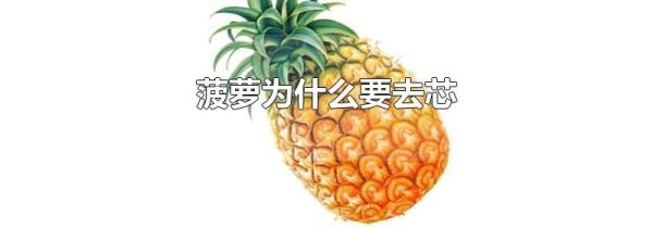 菠萝为什么要去芯