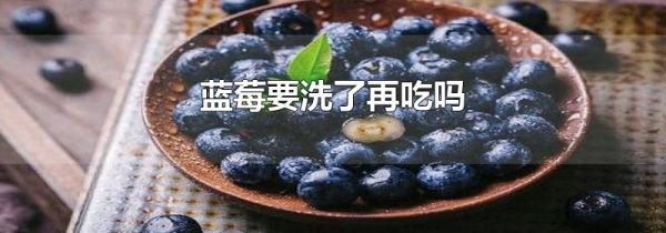 蓝莓要洗了再吃吗
