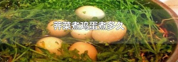 荠菜煮鸡蛋煮多久