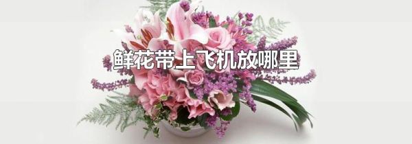 鲜花带上飞机放哪里
