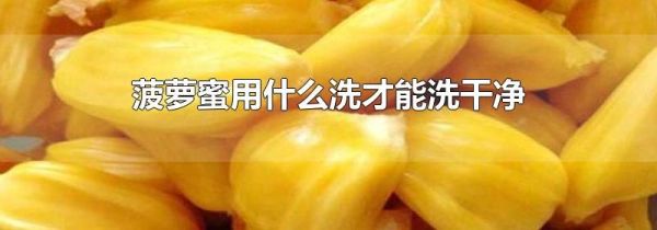 菠萝蜜用什么洗才能洗干净