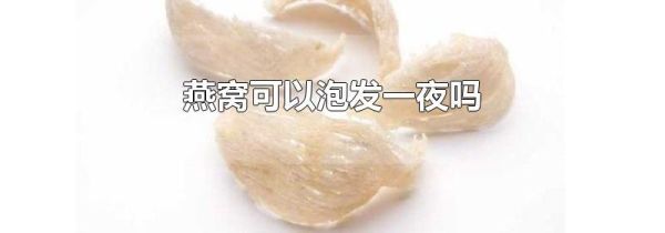 燕窝可以泡发一夜吗
