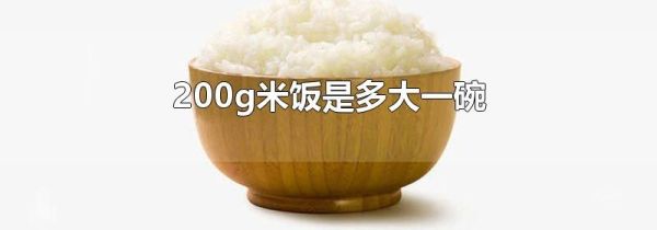 200g米饭是多大一碗