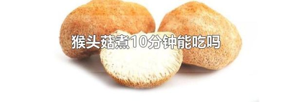 猴头菇煮10分钟能吃吗