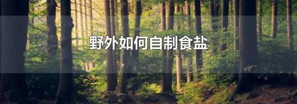野外如何自制食盐