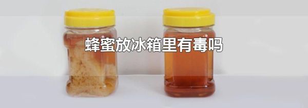 蜂蜜放冰箱里有毒吗
