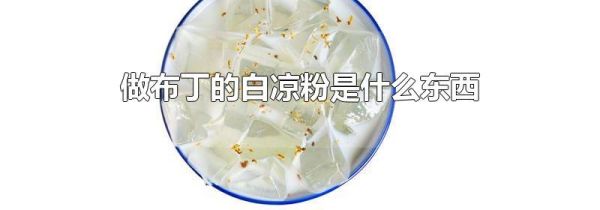做布丁的白凉粉是什么东西